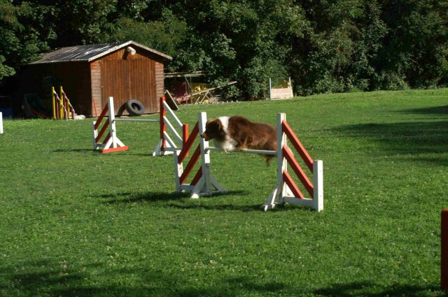 agility 2011-08